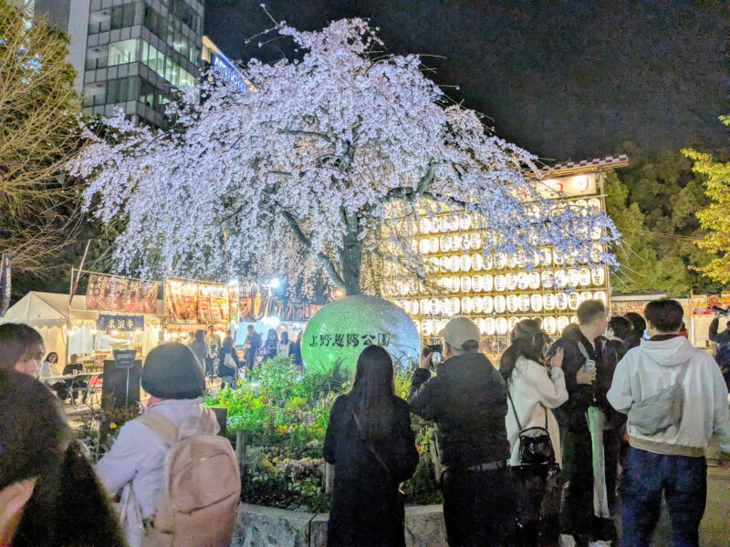 上野公園の夜桜